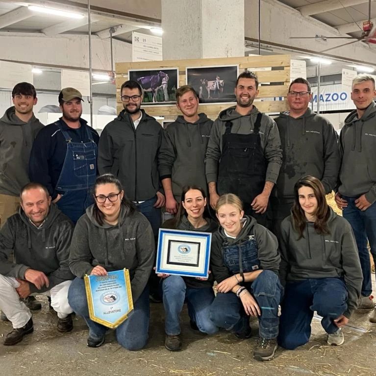 roo glass replacement team